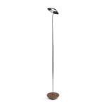 Royyo Floor Lamp