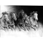 Wild Bunch by Joel Pilcher
